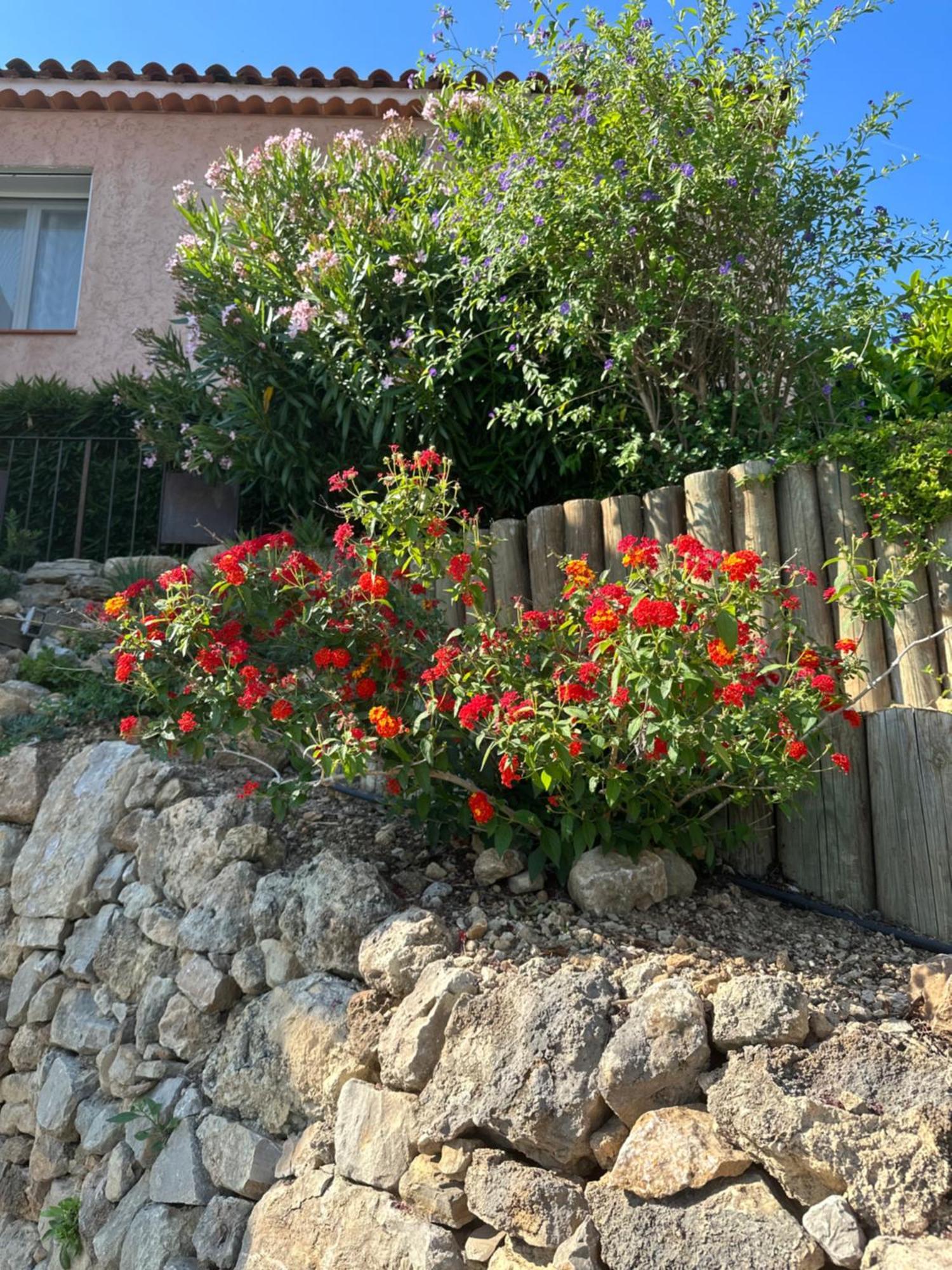 Appartement Les Amandiers à Draguignan Extérieur photo